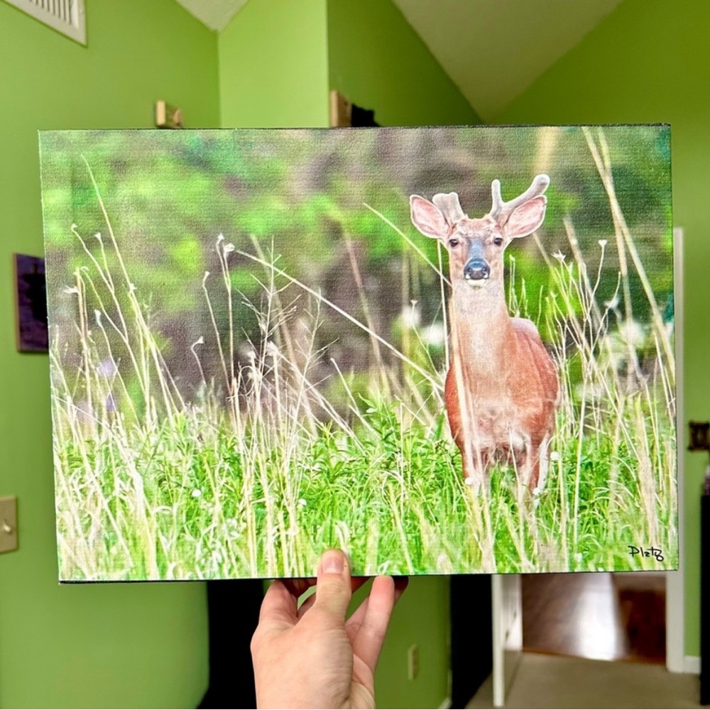 Still Life Deer in Woods Cabin Nature Animal Canvas Wall Decor Accent Farmhouse